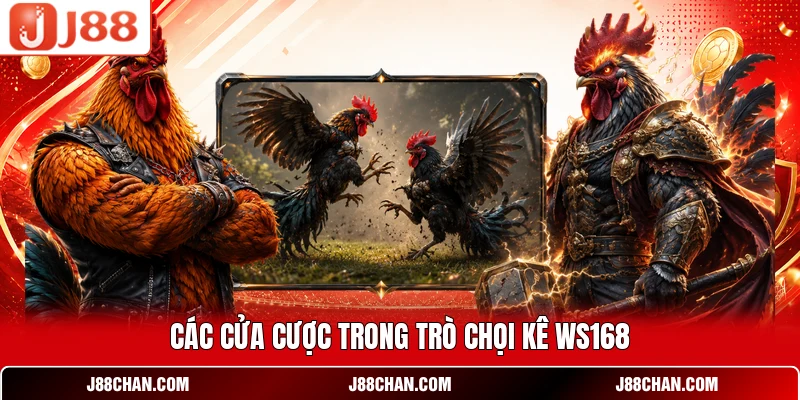 Các cửa cược trong trò chọi kê WS168