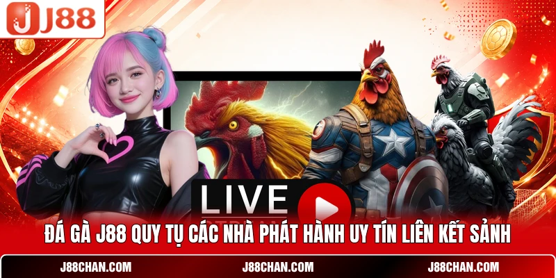 Đá gà J88 quy tụ các nhà phát hành uy tín liên kết sảnh