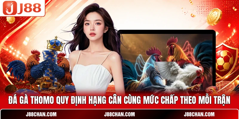 Đá gà Thomo quy định hạng cân cùng mức chấp theo mỗi trận