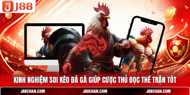Kinh nghiệm soi kèo đá gà giúp cược thủ đọc thế trận tốt
