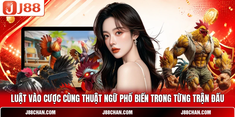 Luật vào cược cùng thuật ngữ phổ biến trong từng trận đấu