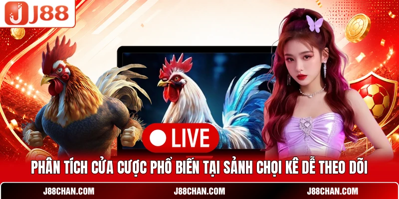 Phân tích cửa cược phổ biến tại sảnh chọi kê dễ theo dõi