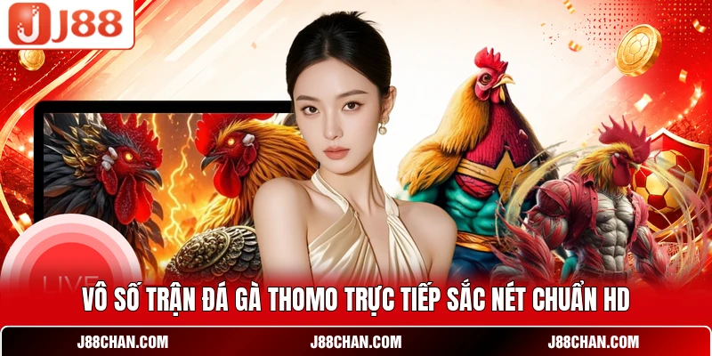 Vô số trận đá gà Thomo trực tiếp sắc nét chuẩn HD
